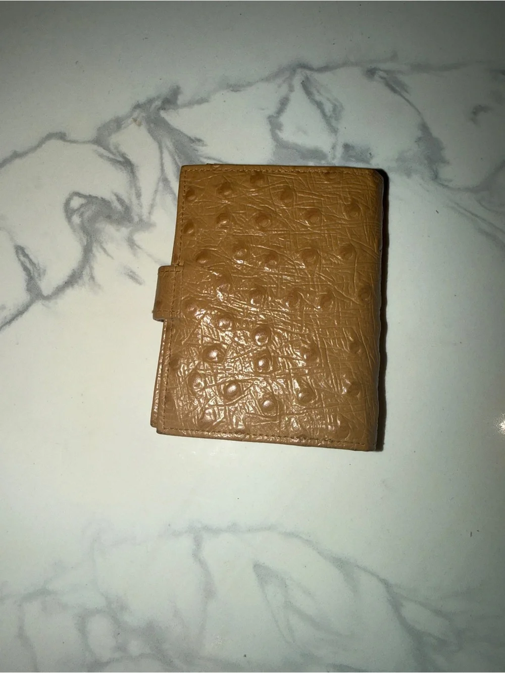 Slim Croc-Embossed Card Holder in Taupe